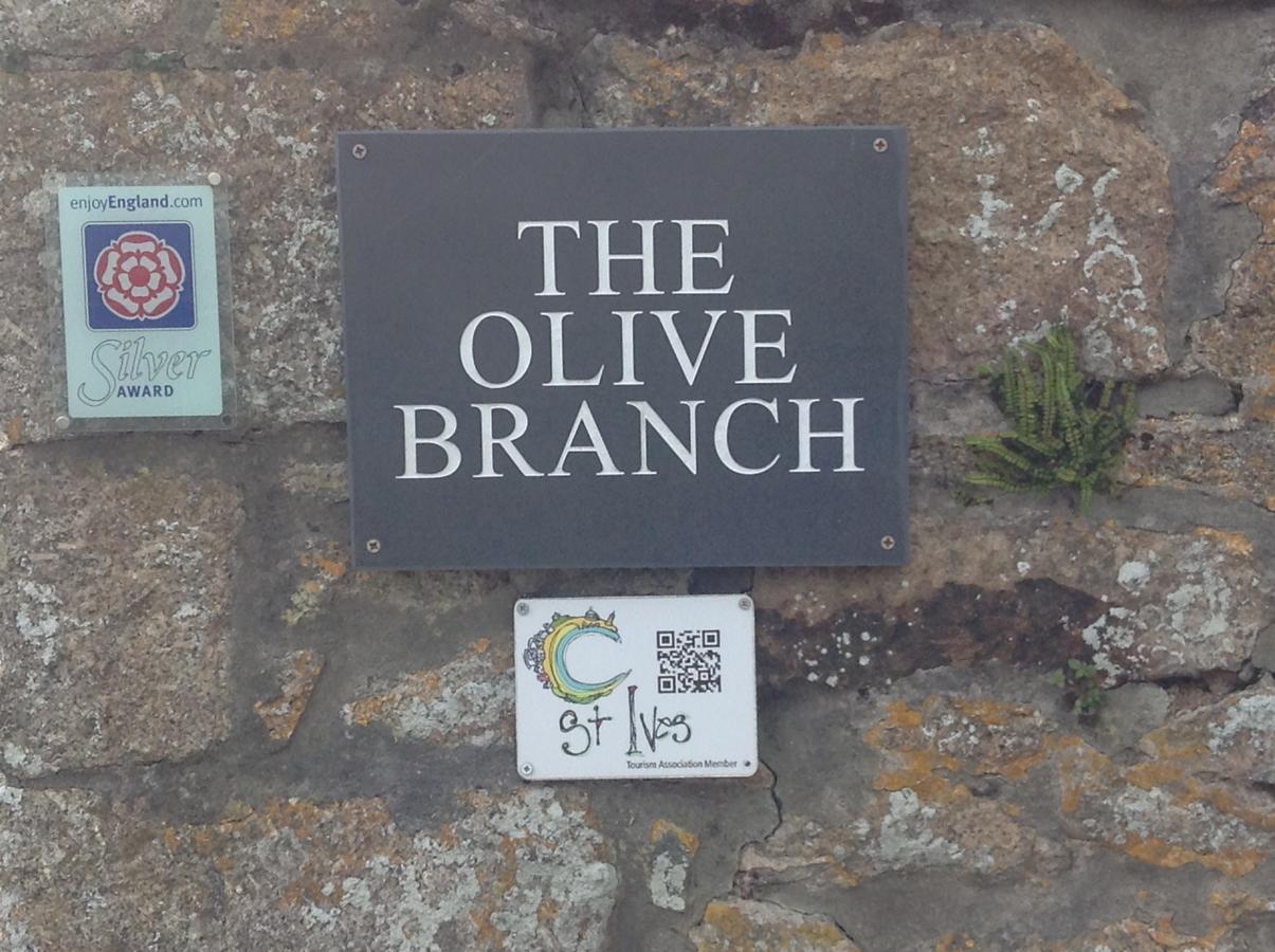 Bed and Breakfast The Olive Branch St Ives Exteriér fotografie